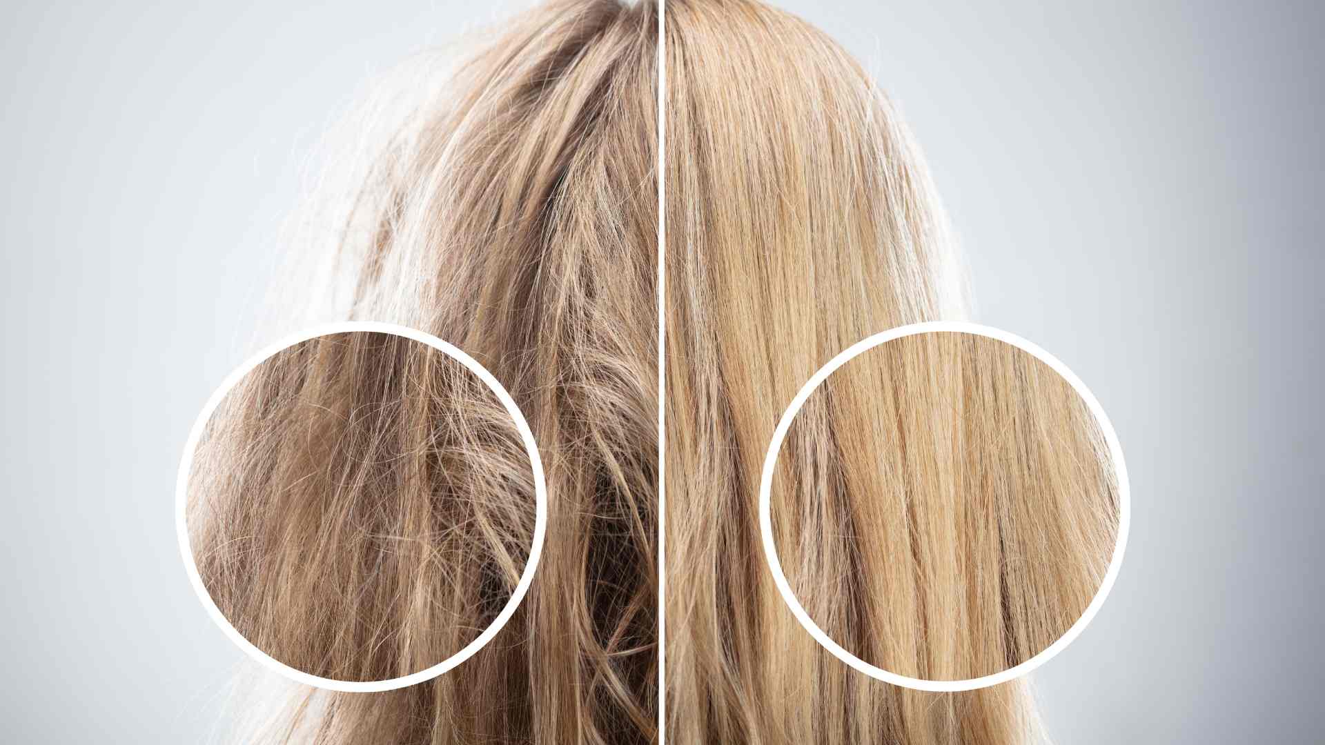 Sea Moss für die natürliche Haarpflege