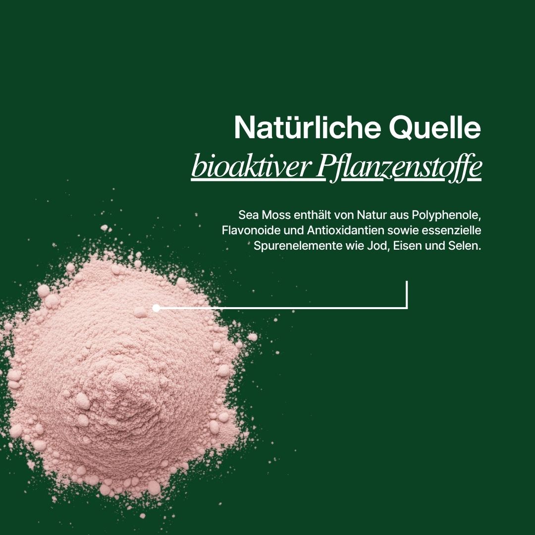 Sea Mos Berry Pulver mit bioaktiven Pflanzenstoffen