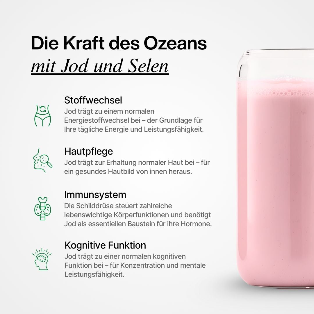 Sea Moss: Die Kraft des Ozeans für Stoffwechsel, Haut, Immunsystem und Gehirn
