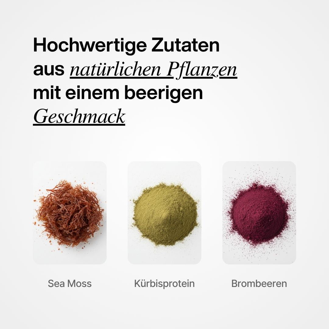 Sea Moss Pulver mit Kürbiskernprotein und Brombeeren