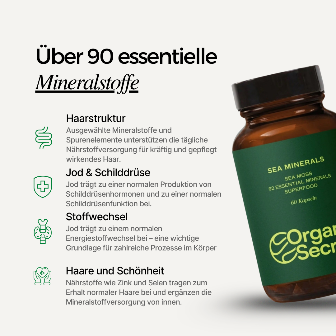 Sea Moss Kapseln