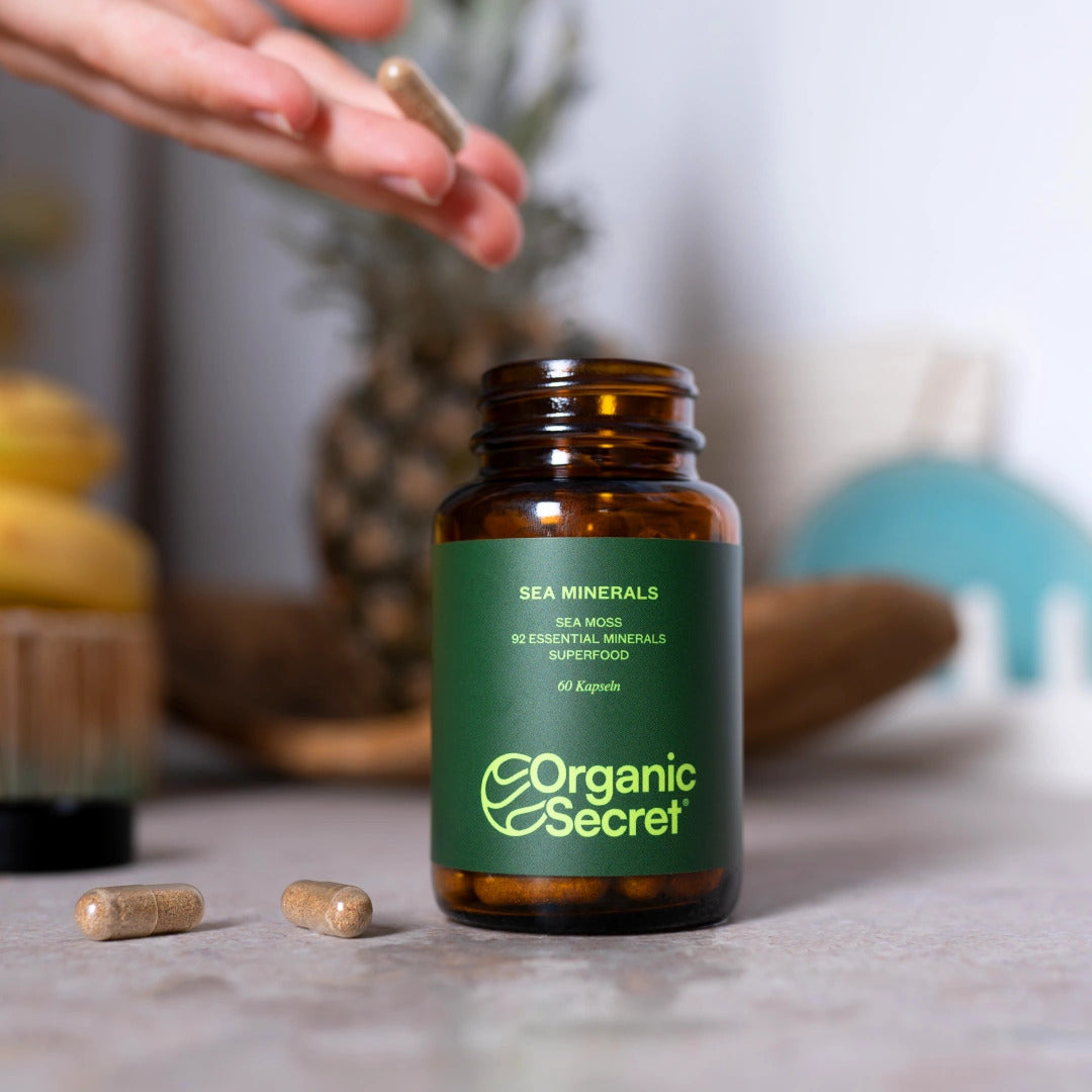 Eine Person zeigt eine Flasche mit Irish Sea Moss Kapseln vor einem neutralen Hintergrund