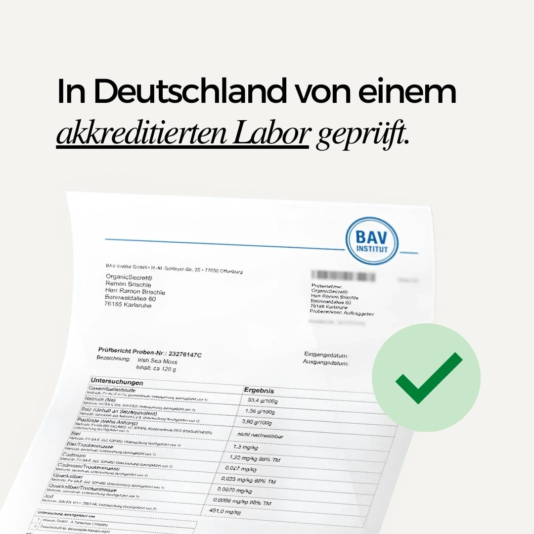 Sea Moss Kapseln Labordokument