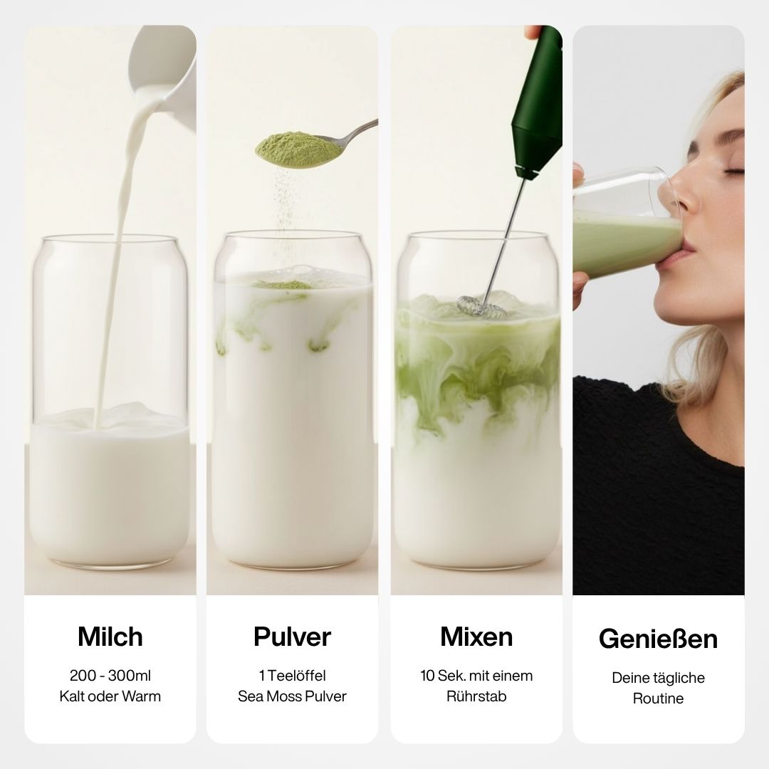 Sea Moss Pulver Drink Anwendung