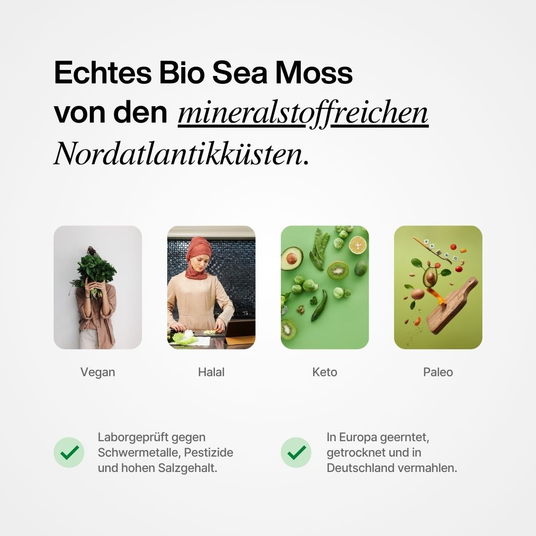 Sea Moss Pulver aus den mineralstoffreichen Nordatlantikküsten