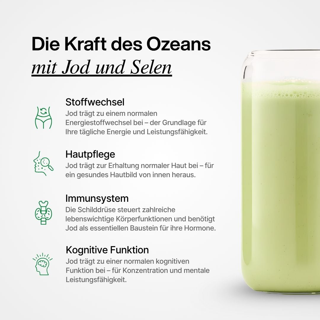 Sea Moss Vorteile für Stoffwechsel, Haut, Immunsystem und Gehirn mit Jod