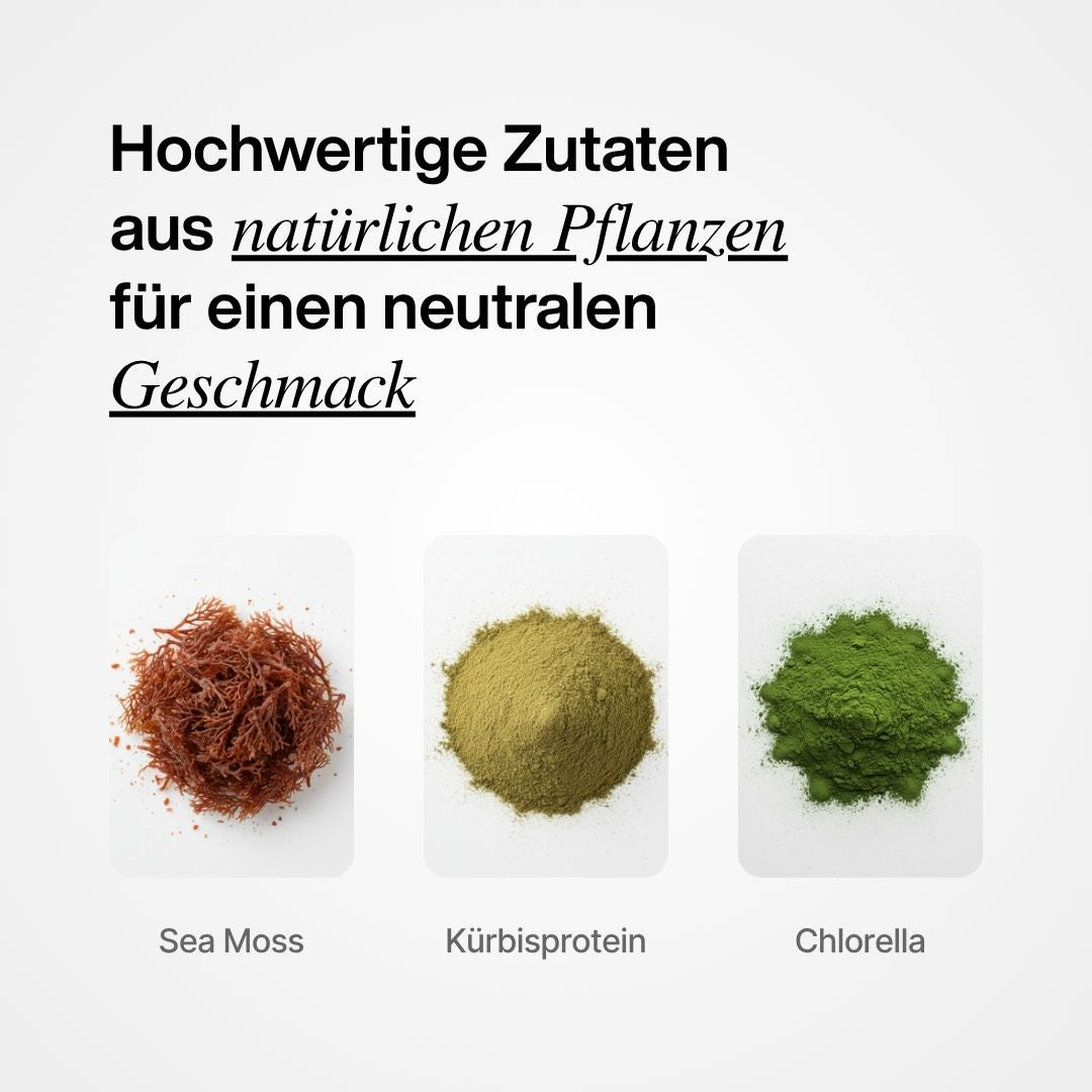 Sea Moss Pulver Drink Zutaten - Sea Moss, Kürbiskernprotein und Chlorella
