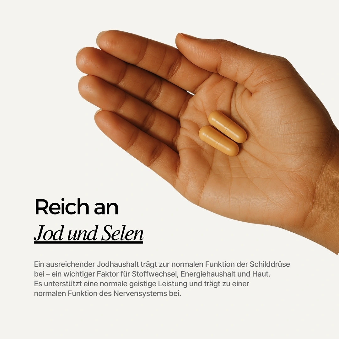 Sea Moss Kapseln in der Hand