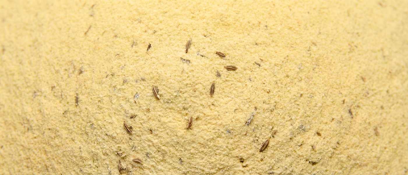 Anissamenextrakt wird traditionell zur Unterstützung der Verdauung und zur Linderung von Blähungen und Völlegefühl eingesetzt