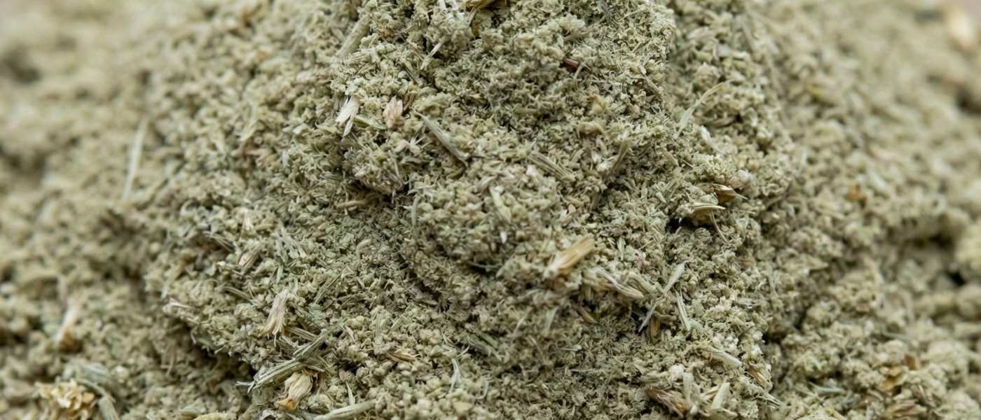 Schafgarbenextrakt zur Unterstützung des Wohlbefindens vor und während der Menstruation